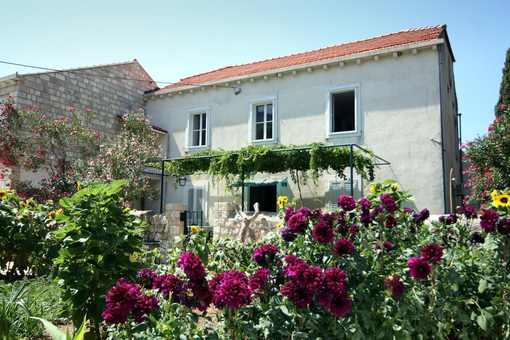 Guest House Katica Zaton  Eksteriør billede